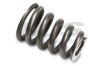 HJS 83 14 1628 Spring, silencer